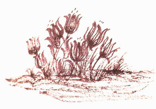 February 28, Day 59 – The Meaning of Holiness