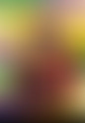 August 6, Day 219 – Not Big Enough