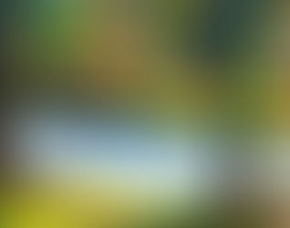 July 15, Day 196 – The Most Extraordinary Fish Story