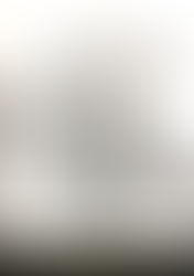 February 1, (Day # 32) – To Comfort, or to Crush?