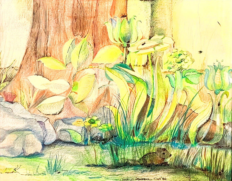 "Hiding Mouse" © by Terri L. Stricker - Original Colored Pencil & Ink on Paper
