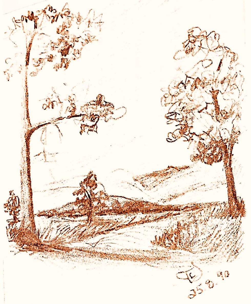 December 11, Day 345 – Unknown to Us, But Not to God