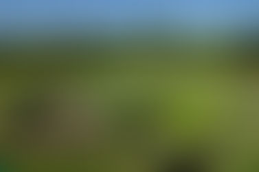 Nov23 - Combe Prunde se bouge !