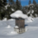Mit genügend Honigreserven ist für die Bienen nicht der Winter die kritische Periode!