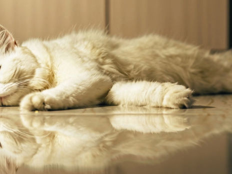 Turning the Page Together: Laziness Does Not Exist