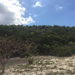 Haiti land photo 12.JPG