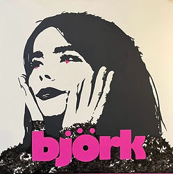 bjork-painting-artwork.jpg
