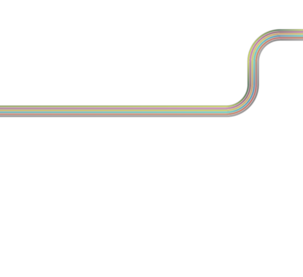 OneRace-Website-2.png