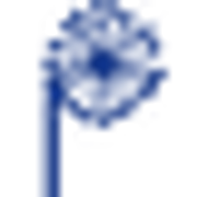 Logo de Psynaptic Psicologia Carmina Castellano