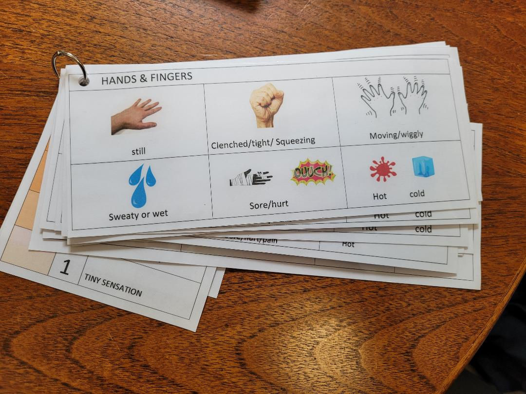 Visual Interoception Descriptor Ring