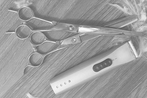 grooming-tools2.jpg