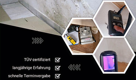 TÜV-zertifizierter Sachverständiger erstellt Gutachten für Schimmelbefall