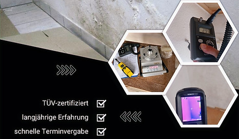 TÜV-zertifizierter Sachverständiger erstellt Gutachten für Schimmelbefall