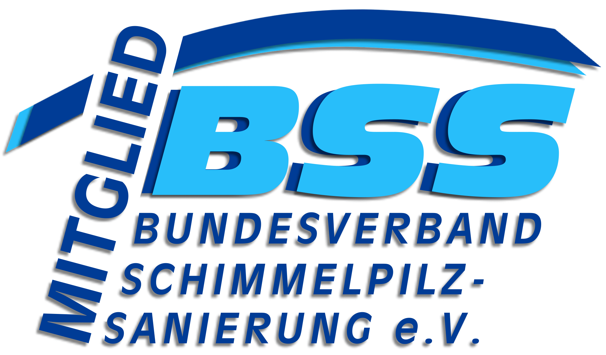 BSS Logo - Mitglied.gif