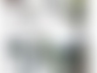 竜の口 竜蛇口 龍の口 龍吐水