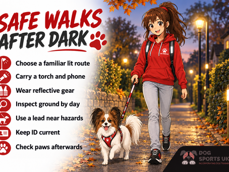 Safe Dog Walking on Darker Evenings