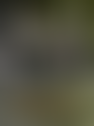 Uglúk, Shagrat, Grishnákh, and Gorbag