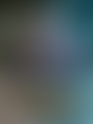 Talion and Celebrimbor