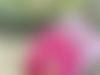 The Best Desserts in Paris: Must-Try Pastries, Treats & Hidden Bakery Gems