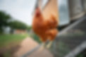 AdobeStock_665135572.jpeg