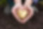 AdobeStock_145780200.jpeg