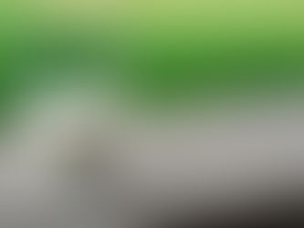 Intolerância à lactose