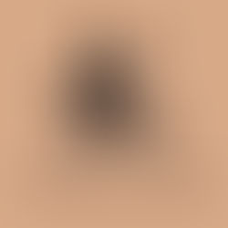 Free Bike Tours in Havana, Cuba