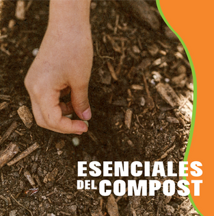 Experimento 3-01-01.png