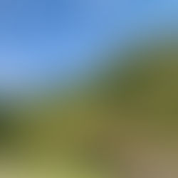 10月15日チェックインについて