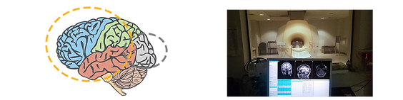 user_research.png