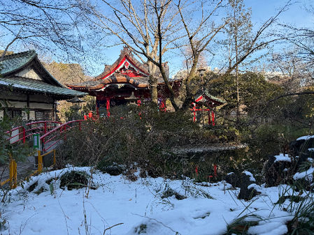 井の頭弁財天2026年2月