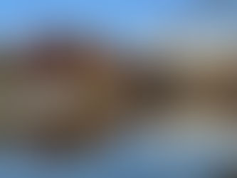 井の頭公園2025年12月