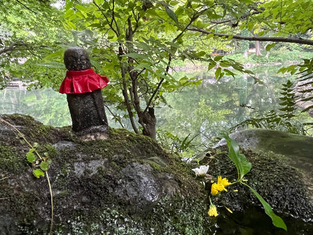 井の頭弁財天草木花2025年7月