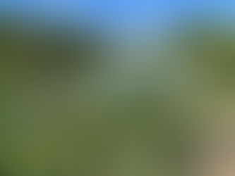 井の頭公園2025年9月