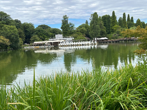 井の頭公園2025年8月