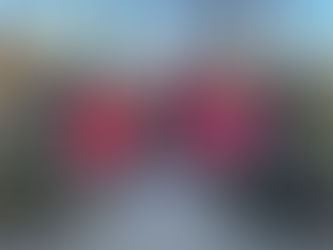 井の頭弁財天2026年1月