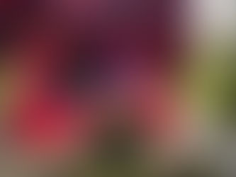 井の頭弁財天2025年10月