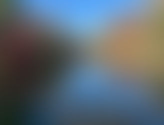 井の頭弁財天2025年12月