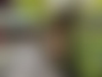 井の頭弁財天2025年10月