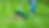 Spring_Fall_CleanUp_Comprehensive_yard_cleanup_in_spring_and_fall_removing_lea