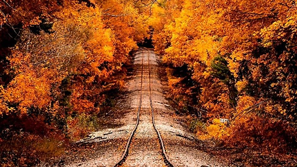 Chicago by Train in Fall