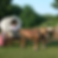 Little House on the Prairie