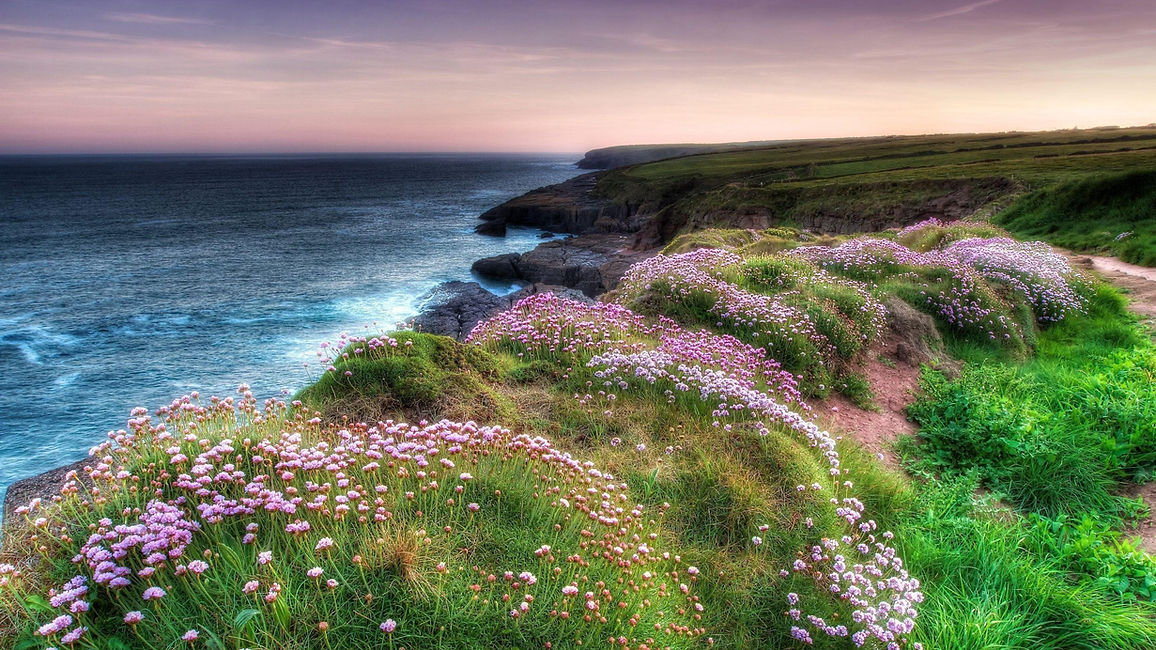 IrelandFlyerimage.jpg