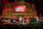 Jeanie's Journeys Nashville Country Christmas
