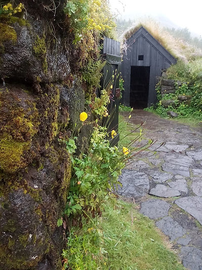 suebembenek ICELAND Jeanie's Journeys Minneapolis Group Tours