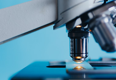 in vitro under the microscope