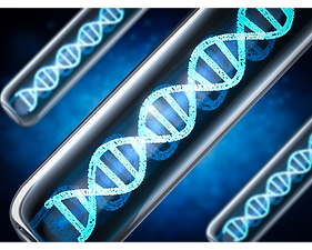 Untitled design (10).png