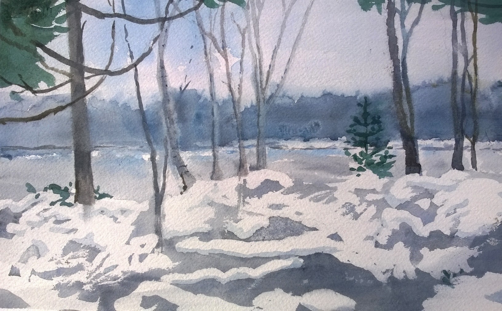Vista Clearing