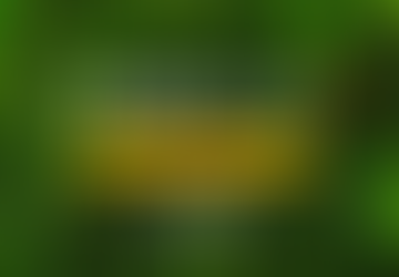 (第II季)《上帝的指纹与今日》第39辑“神人蒙恩的方法”-讲义下载