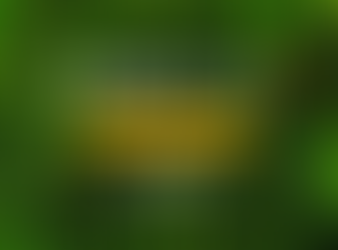 (第II季)《上帝的指纹与今日》第10辑“印证清单五条”-讲义下载